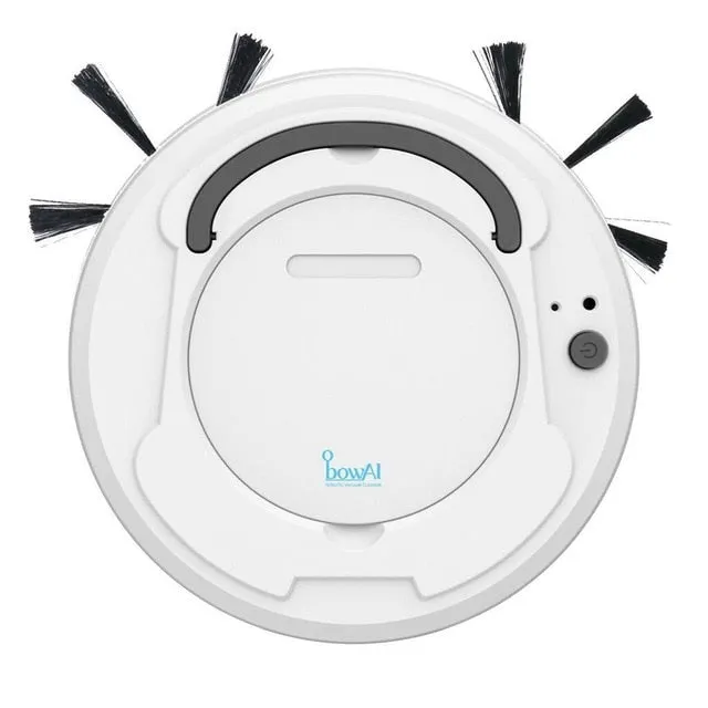 Auto Rechargeable Smart Sweeping Robot Cleaner