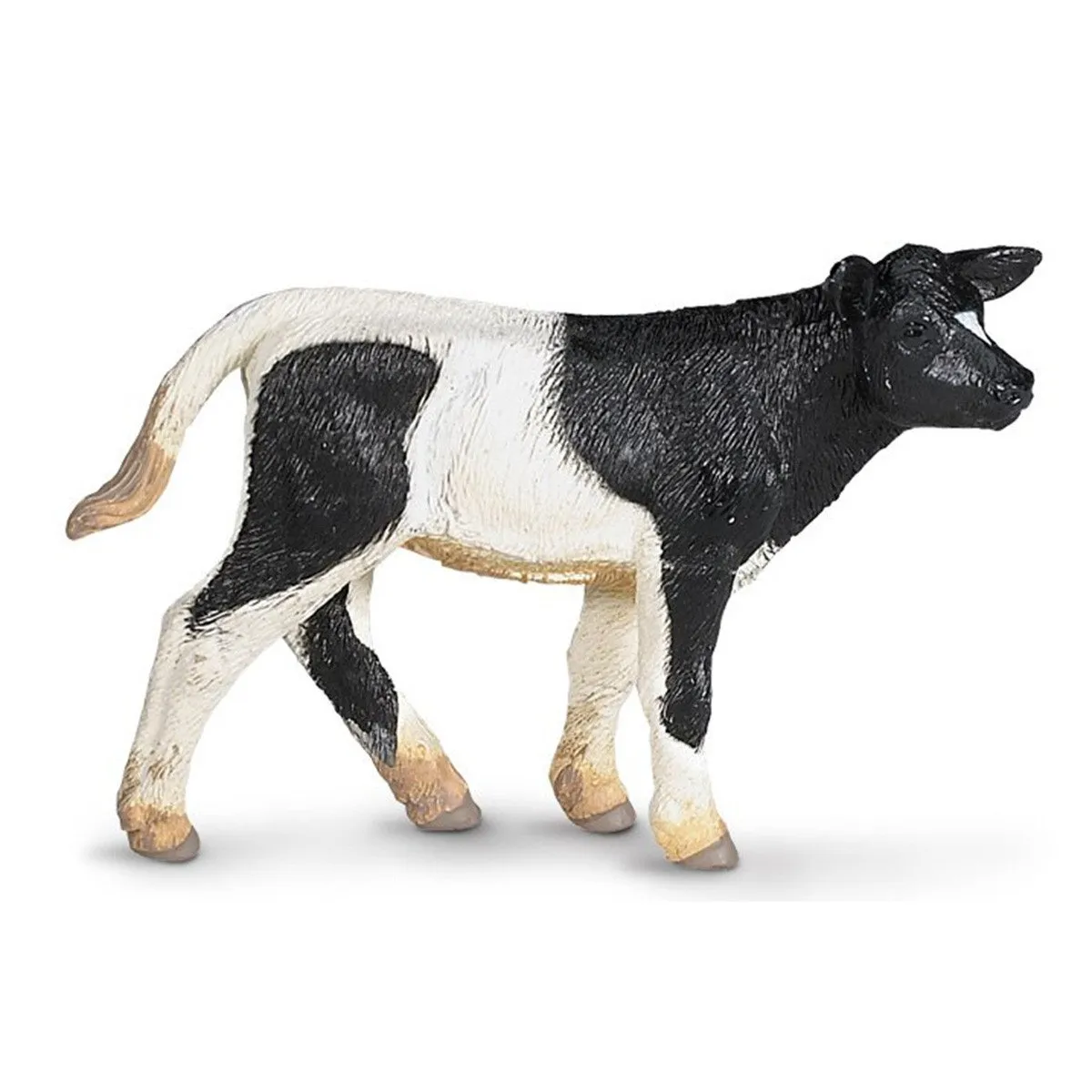 Holstein Calf Safari Farm Safari Ltd