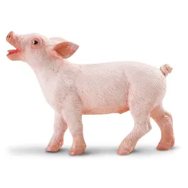 Piglet Safari Farm Safari Ltd